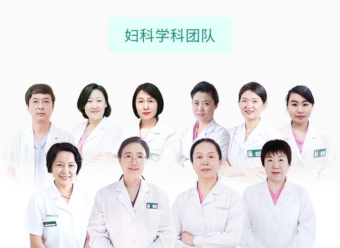 妇科学科团队